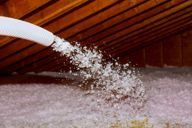 Types of Insulation We Offer in Paia, HI