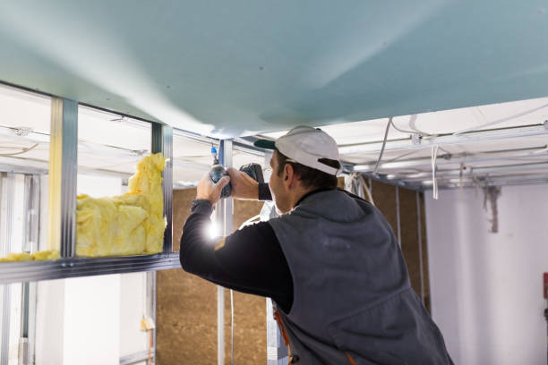 Best Spray Foam Insulation in Paia, HI