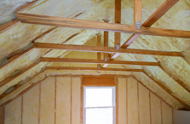 Best Eco-Friendly Insulation in Paia, HI