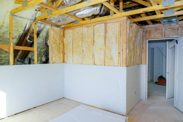 Best Commercial Insulation in Paia, HI