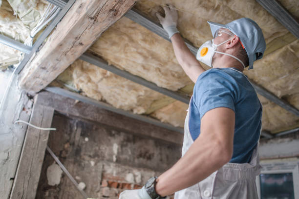 Best Energy Efficiency Insulation in Paia, HI