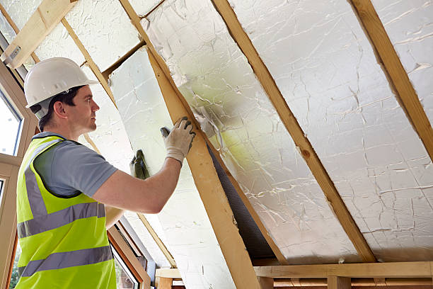 Best Fiberglass Insulation in Paia, HI