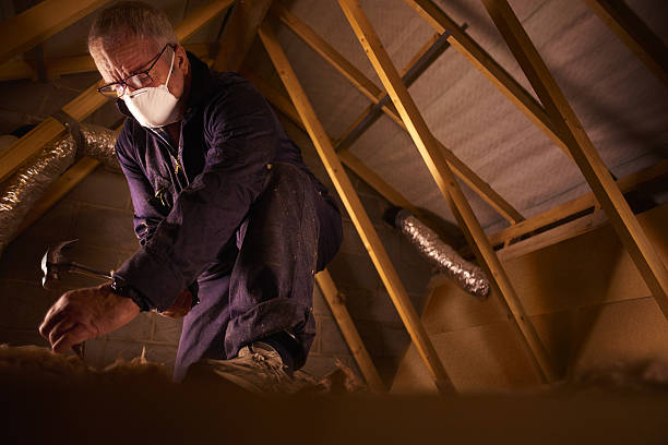 Best Blown-in Insulation in Paia, HI